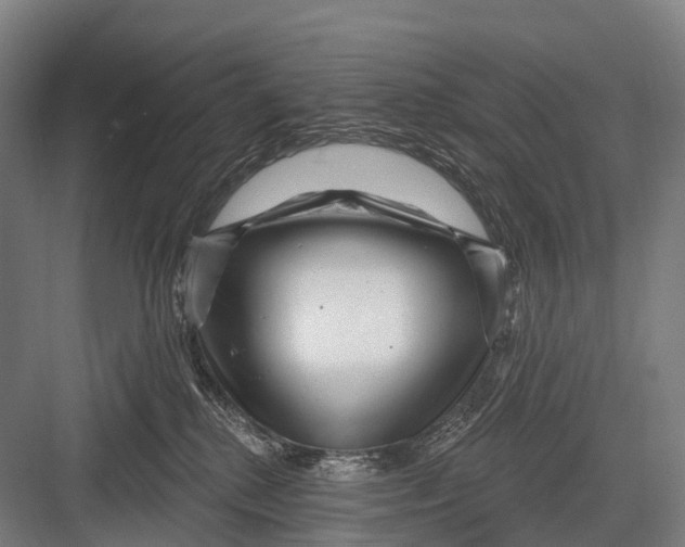 X0000082730280200702161915