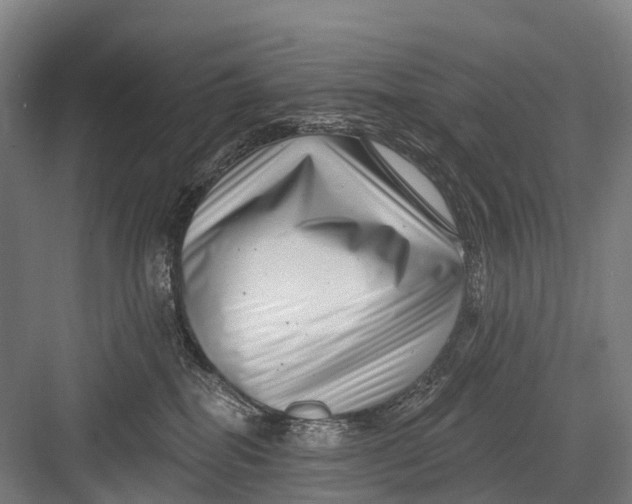 X0000082730282200702161915