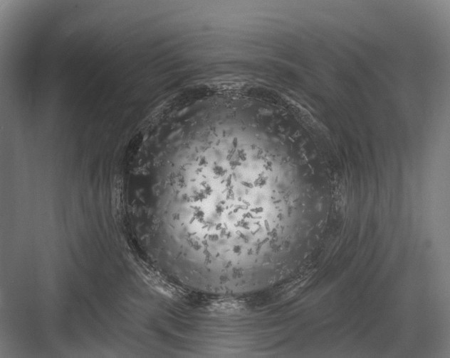 X0000082730283200702161915