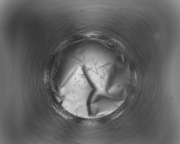 X0000082730284200702161915