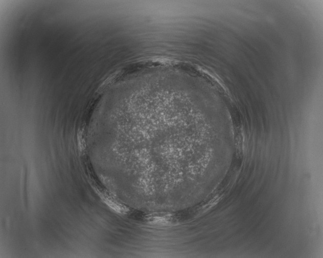 X0000082730285200702161915