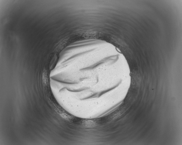 X0000082730287200702161915