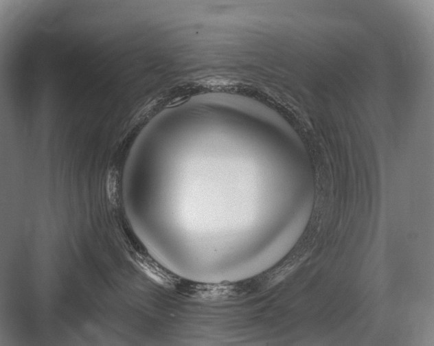 X0000082730288200702161915