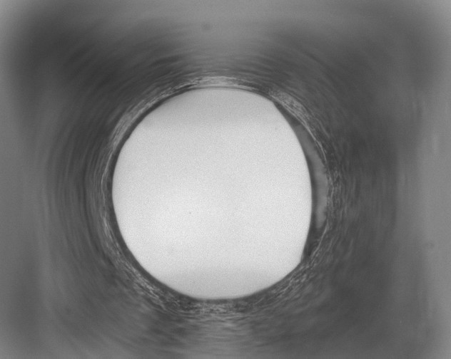 X0000082730289200702161914