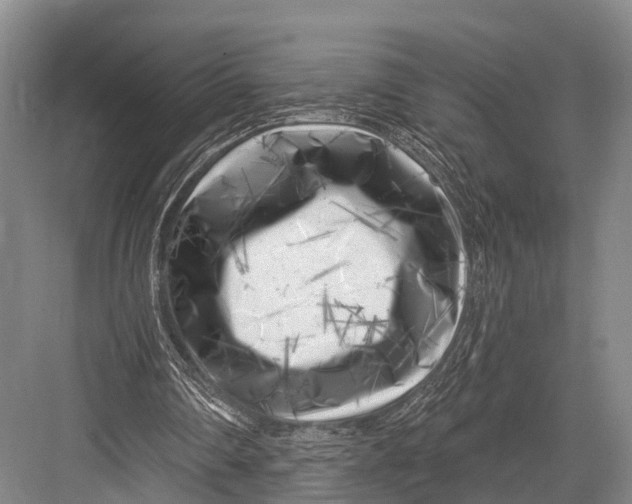 X0000082730290200702161914