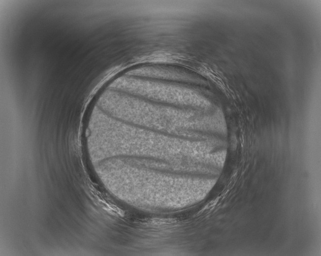 X0000082730292200702161914