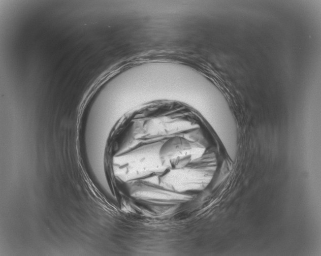 X0000082730293200702161914