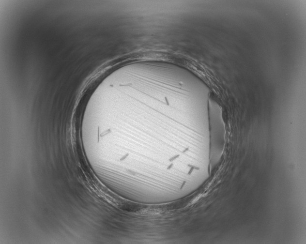 X0000082730294200702161914