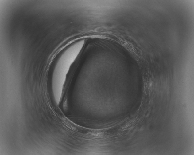 X0000082730295200702161914