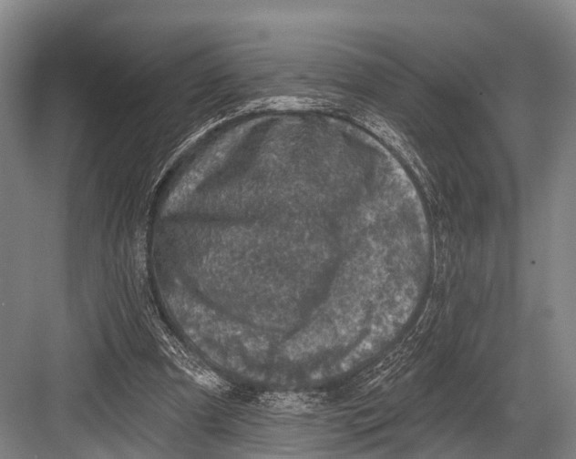 X0000082730297200702161914