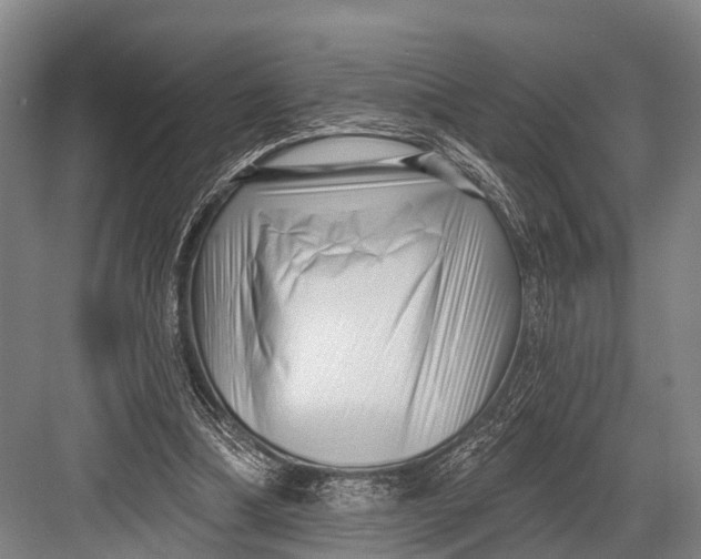 X0000082730298200702161914