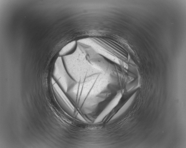 X0000082730299200702161914