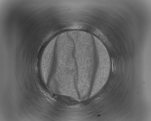 X0000082730300200702161914