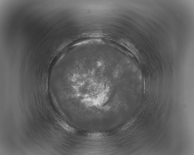 X0000082730301200702161914