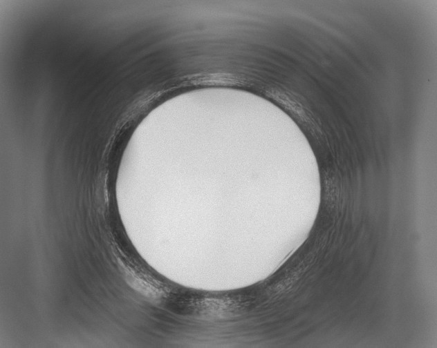 X0000082730302200702161914