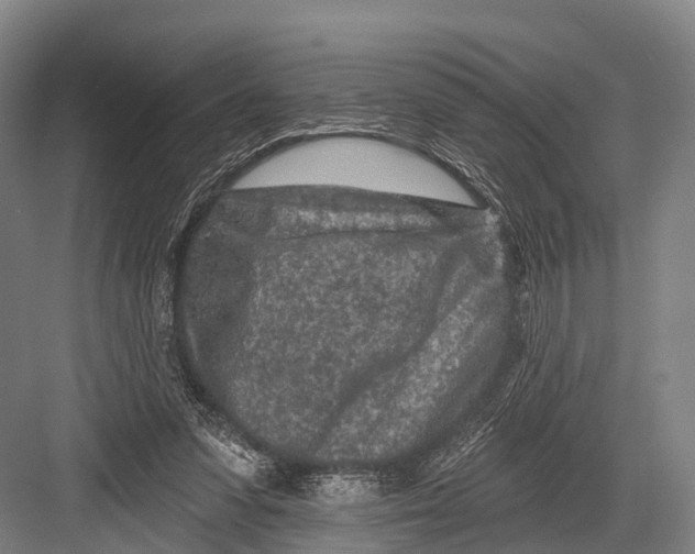 X0000082730303200702161914