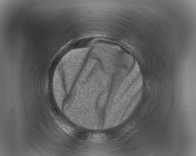 X0000082730304200702161914