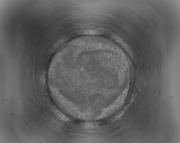 X0000082730305200702161914