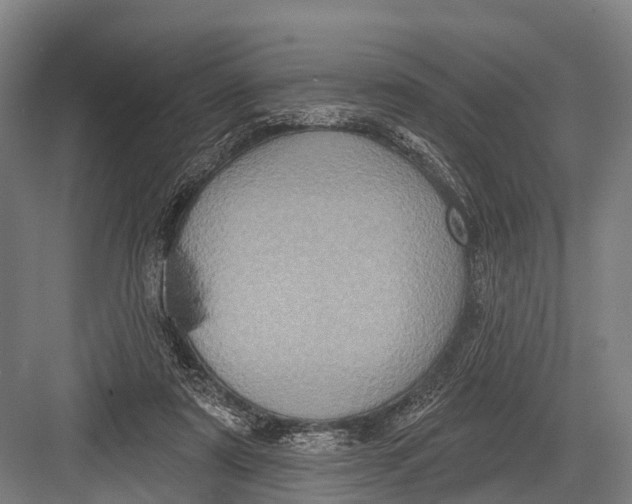 X0000082730307200702161914