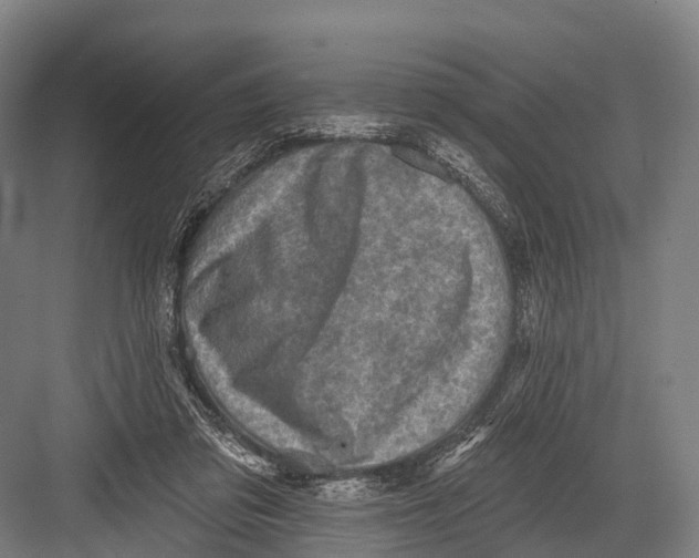 X0000082730309200702161914