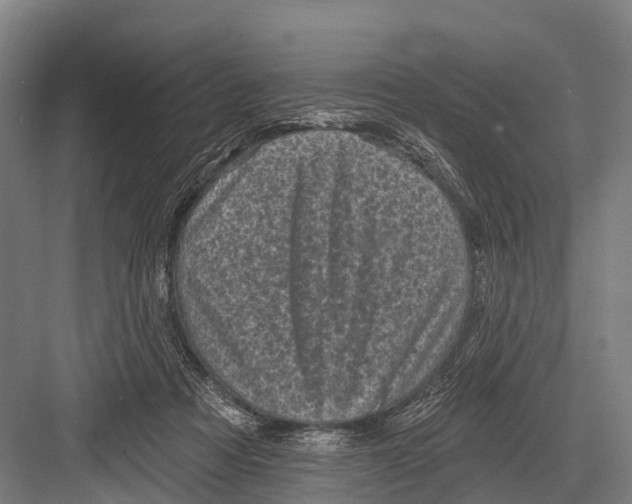 X0000082730313200702161914