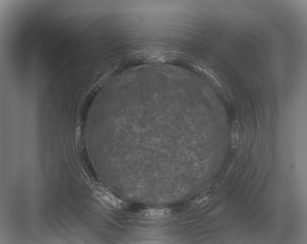 X0000082730314200702161914