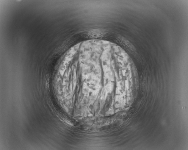 X0000082730315200702161914