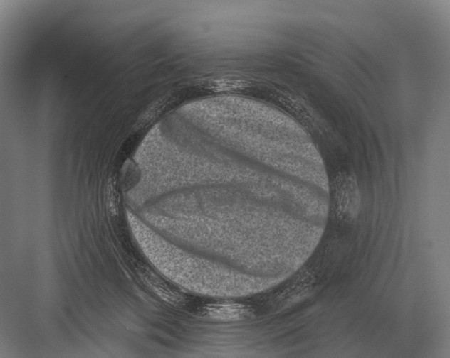 X0000082730316200702161914