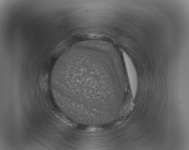 X0000082730319200702161914