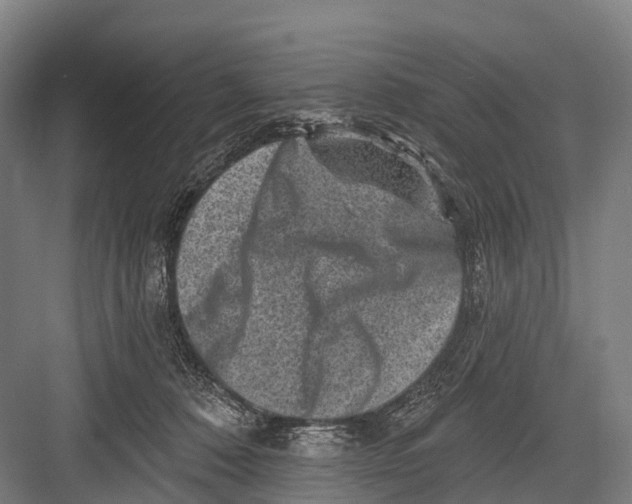 X0000082730320200702161914