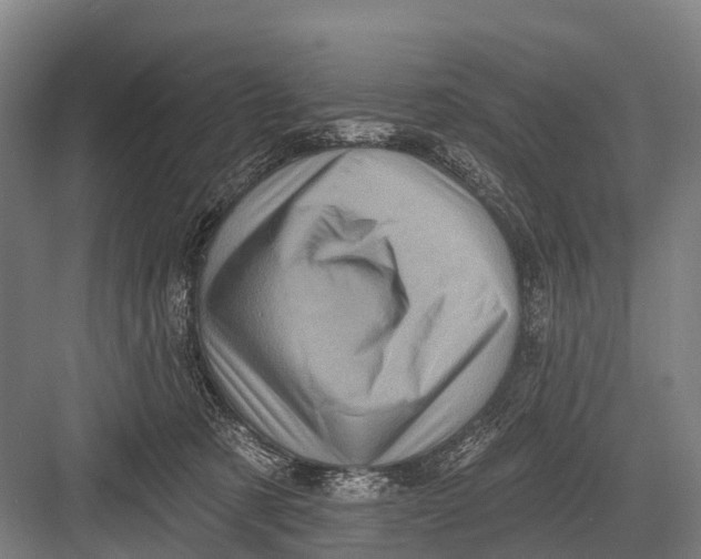 X0000082730321200702161914