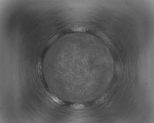 X0000082730322200702161914