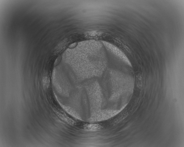 X0000082730324200702161914