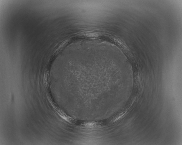 X0000082730325200702161914