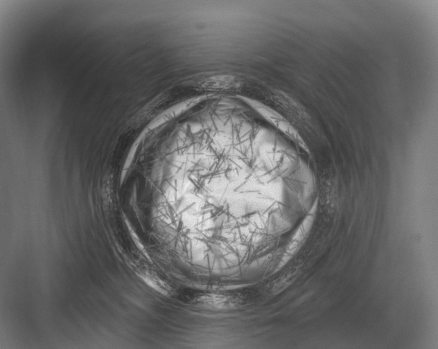 X0000082730326200702161914