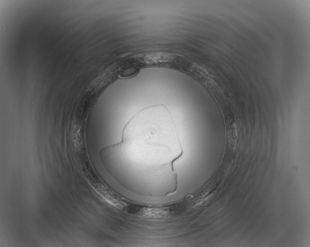 X0000082730327200702161914