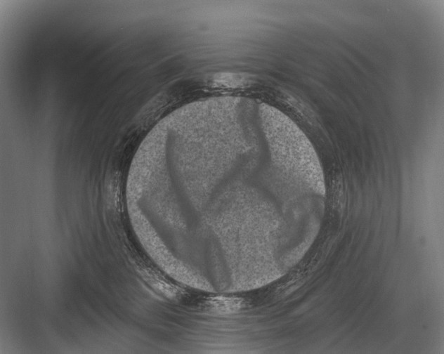 X0000082730328200702161914