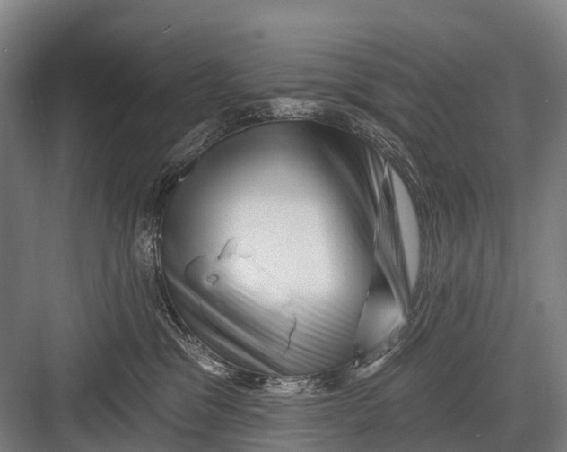 X0000082730329200702161914