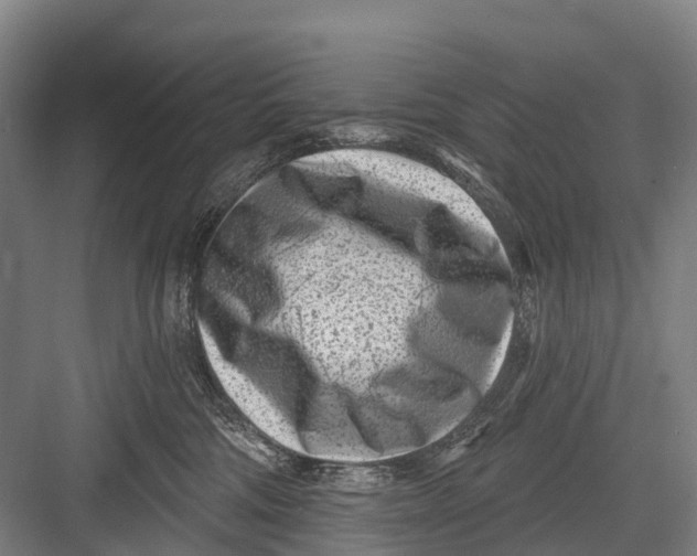 X0000082730330200702161914