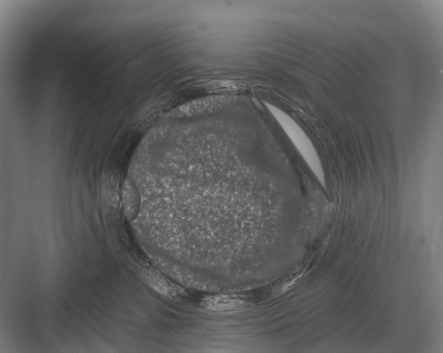 X0000082730331200702161914