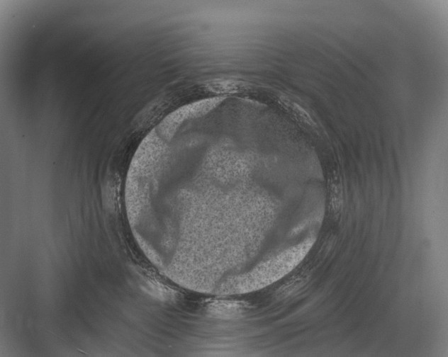 X0000082730332200702161914