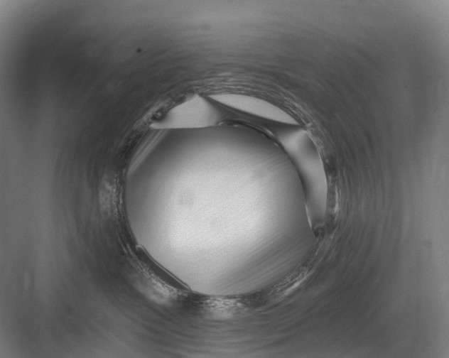 X0000082730333200702161914