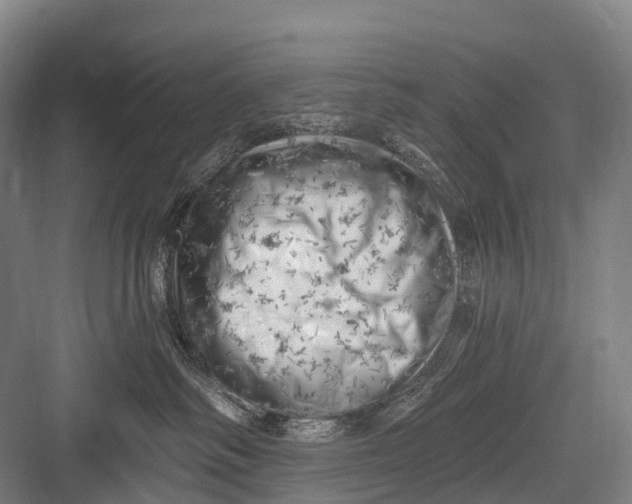 X0000082730334200702161914