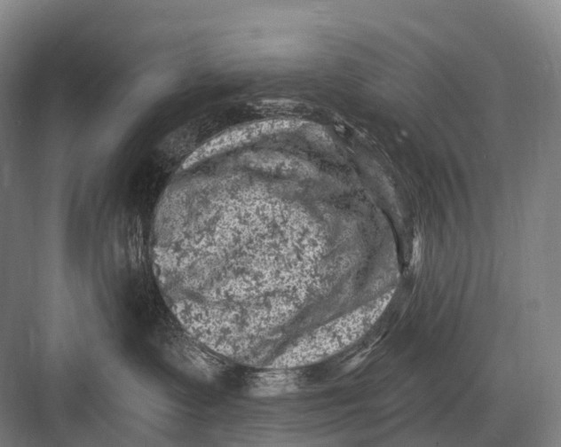 X0000082730335200702161914