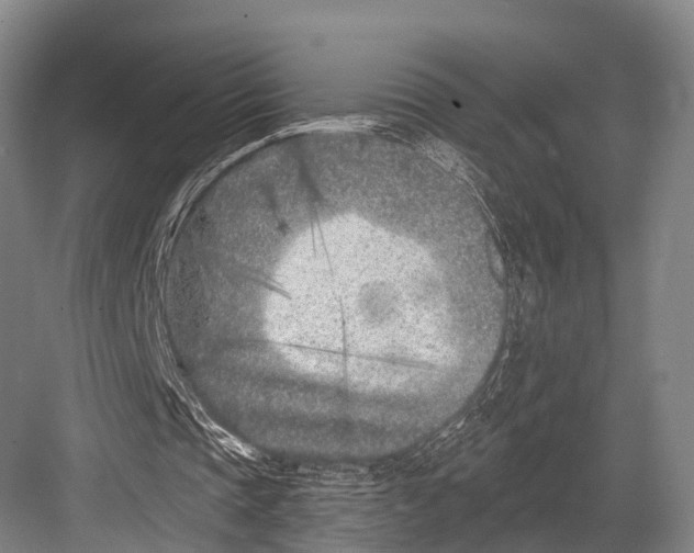 X0000082730337200702161913