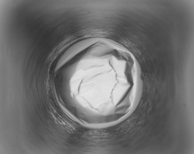 X0000082730338200702161913