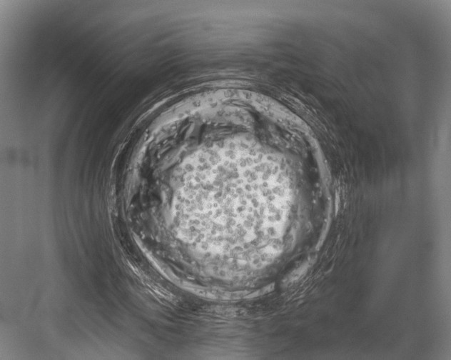 X0000082730339200702161913