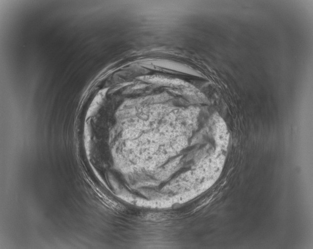 X0000082730341200702161913