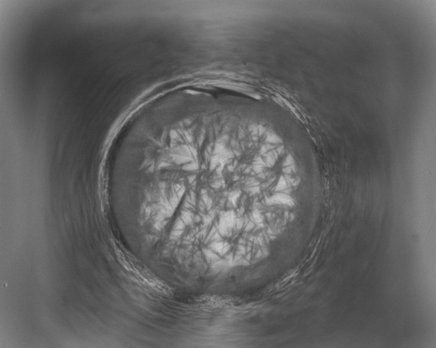 X0000082730343200702161913