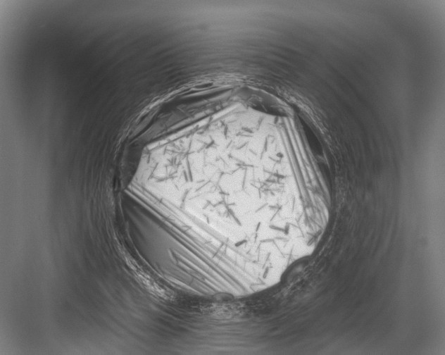 X0000082730345200702161913